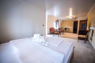 Фото Отель Hotel Eden г. Рымнику-Сэрат 5